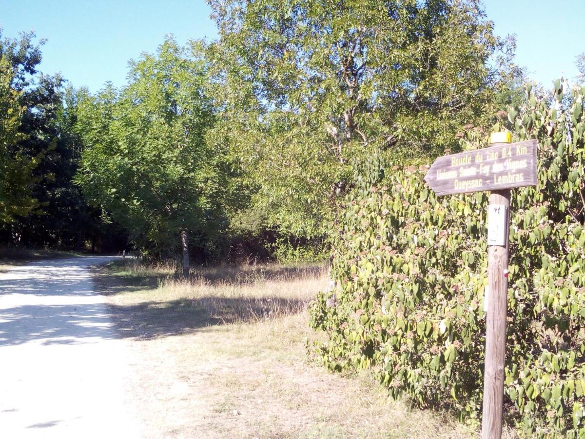 T2 36 M2 Pres Du Lac, Parc 55 Hectares Accessible A Pied ! Bergerac Eksteriør bilde
